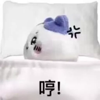 6Sld