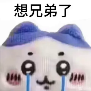BdJ9