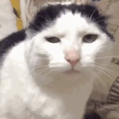 Be9Z.gif