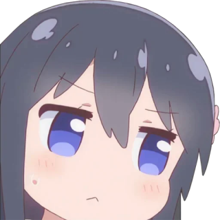 Nt3T