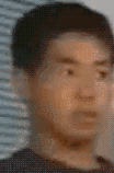 SXC.gif