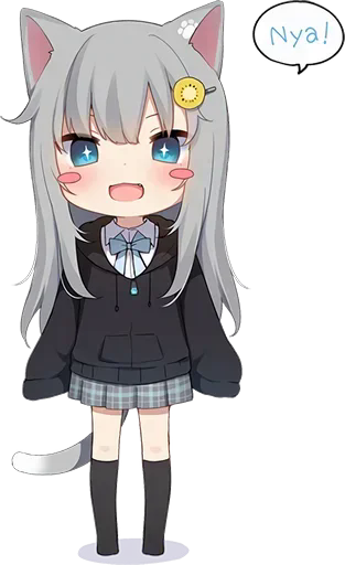 iPAK.png