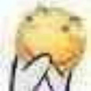 jOei