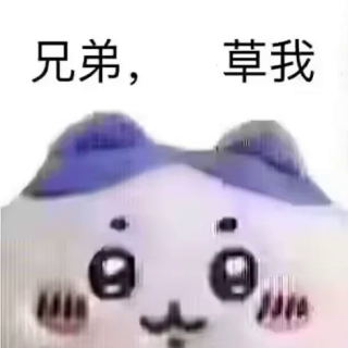 xvVQ